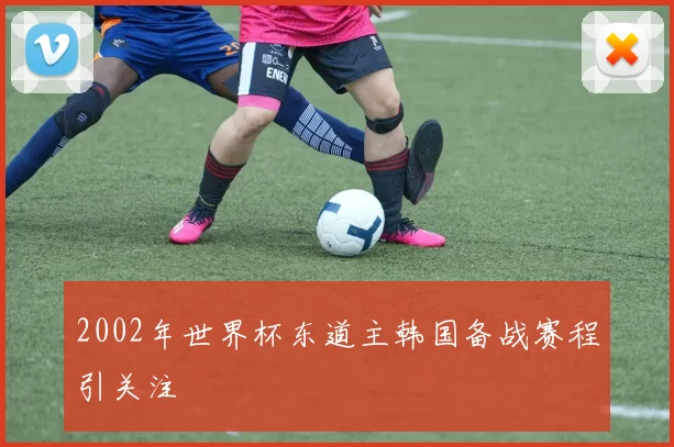 2002年世界杯东道主韩国备战赛程引关注