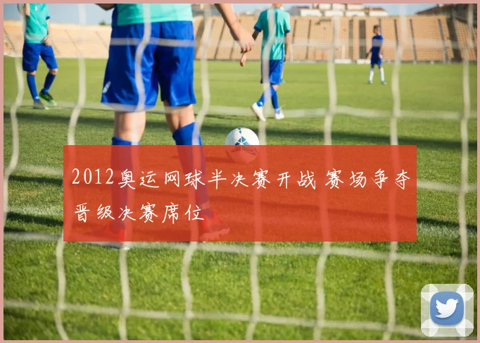 2012奥运网球半决赛开战 赛场争夺晋级决赛席位