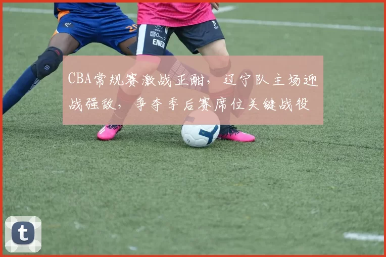 CBA常规赛激战正酣，辽宁队主场迎战强敌，争夺季后赛席位关键战役